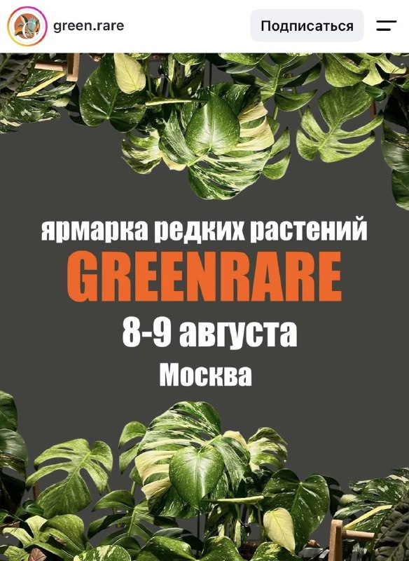 Фанатки растений, общий сбор: на выходных в Москве пройдёт оч атмосферная тропическая ярмарка редких