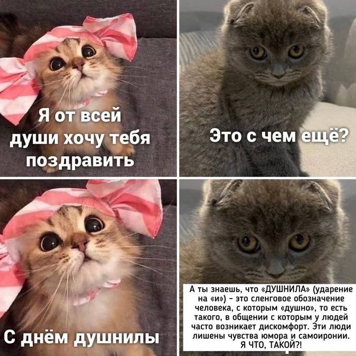 Сегодня отмечается День душнилы
Ты знаешь, кому это отправить