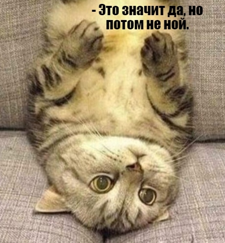 Предупредила)