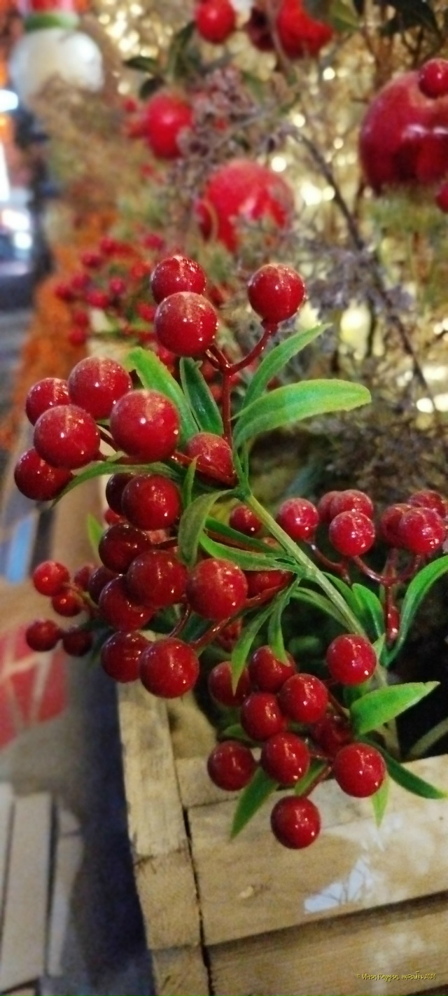 Дoбpoй нoчи, гopoд N!
Φoтo: Ингa Рaдугa