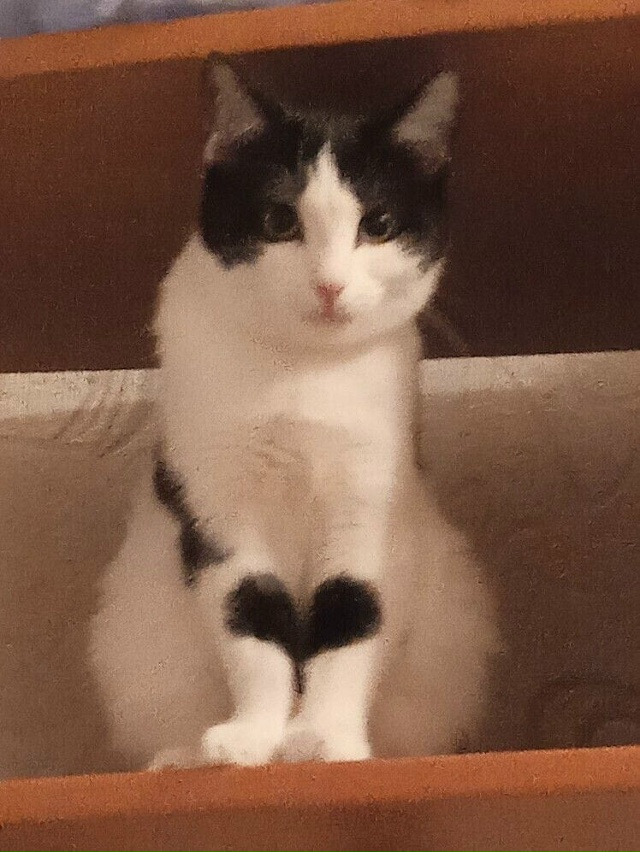 Админ, опубликуй, пожалуйста!
Переславль!
Друзья!
Обра...