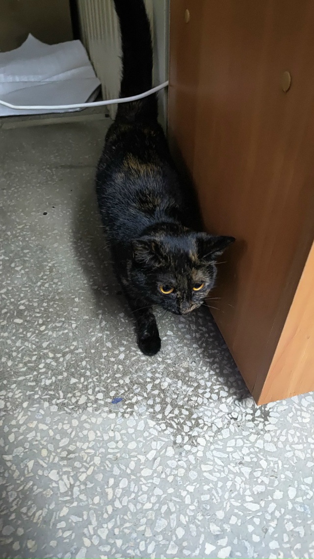 В магазин Светофор по адресу: Автозаводская,23 ж, пришла...