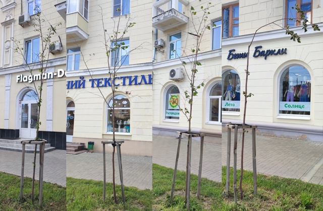 Улица Кирова, в центре Воронежа, когда-то была очень зе?...