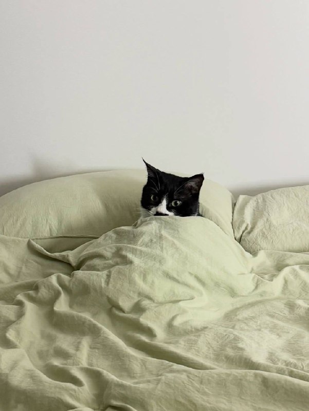 Ну идем уже споть, я же жду тибя в кроватке :3