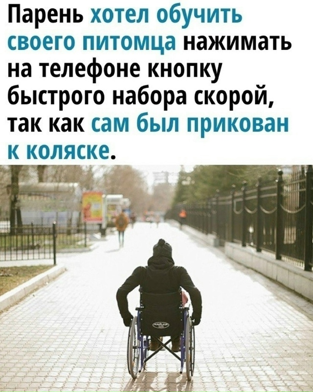 Тренировки были не напрасны