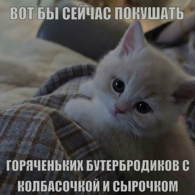 Когда там уже обед?