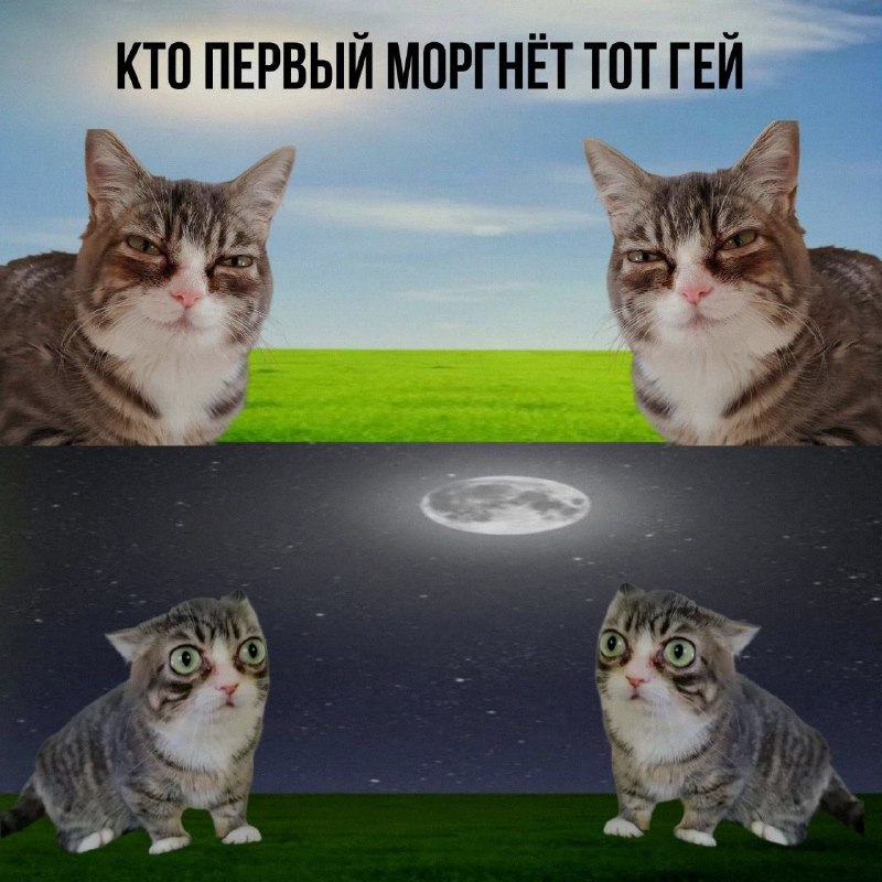 Ночная подборочка
Спать, режим