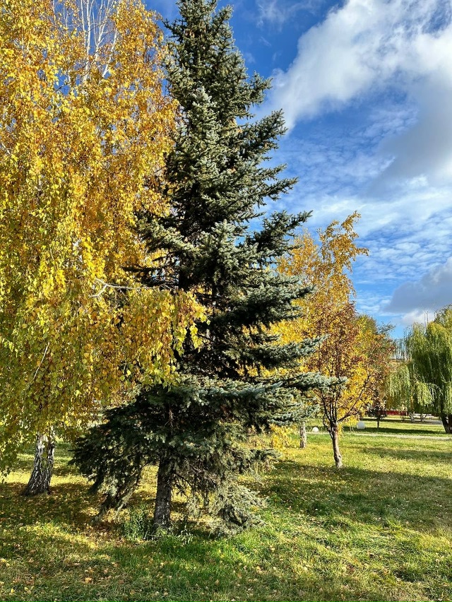 🍁Осенний Бузулук