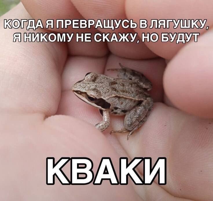 Утренняя подборочка