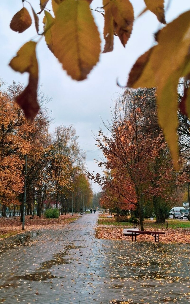 Осеннее Брагино 🍁 Ярославль ❤
📷 Мария Гребеньщиков?...