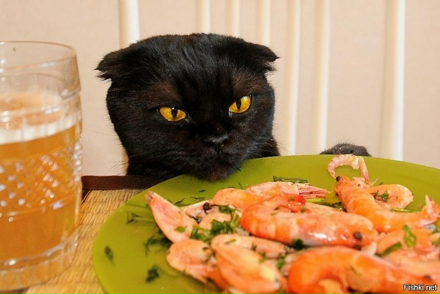 Цель поставлена, остальное - вопрос времени😂