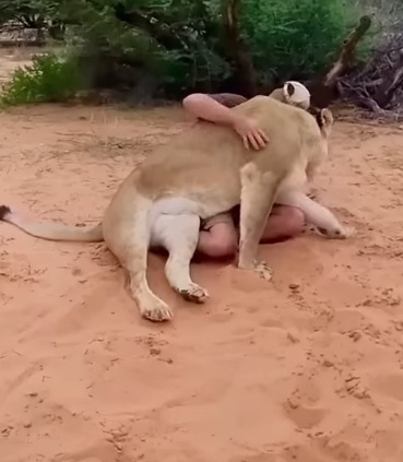 Она дождалась своего любимого хозяина..