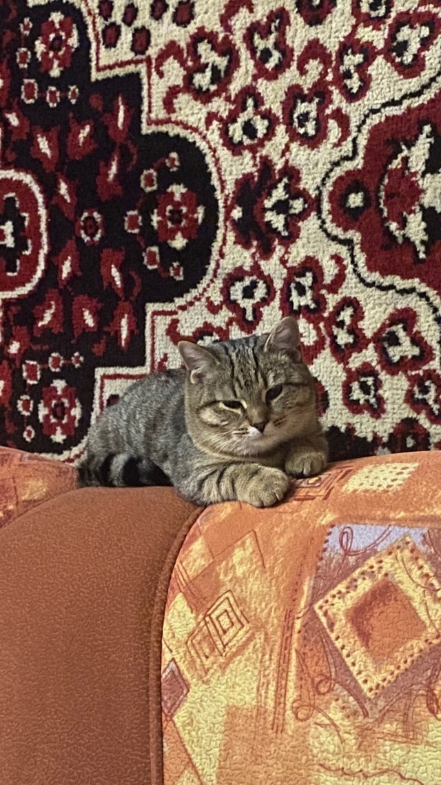 Набирается сил, чтобы шкодничать)