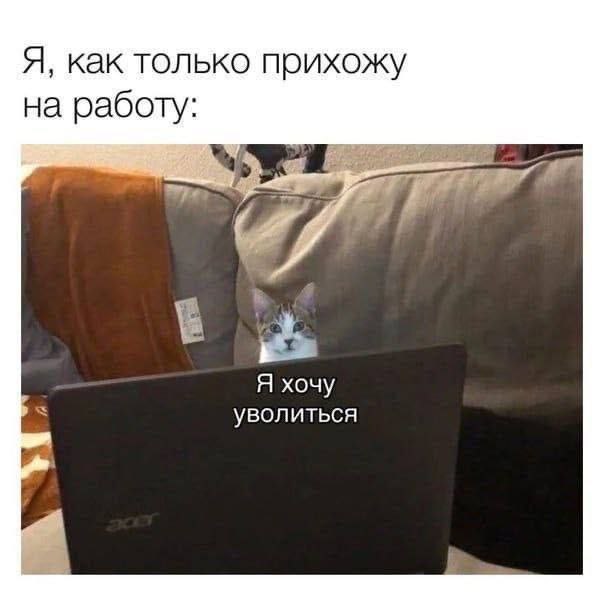 Утренняя подборочка