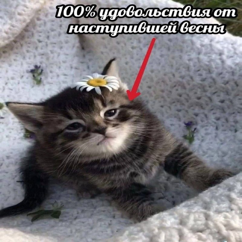 Утренняя подборочка