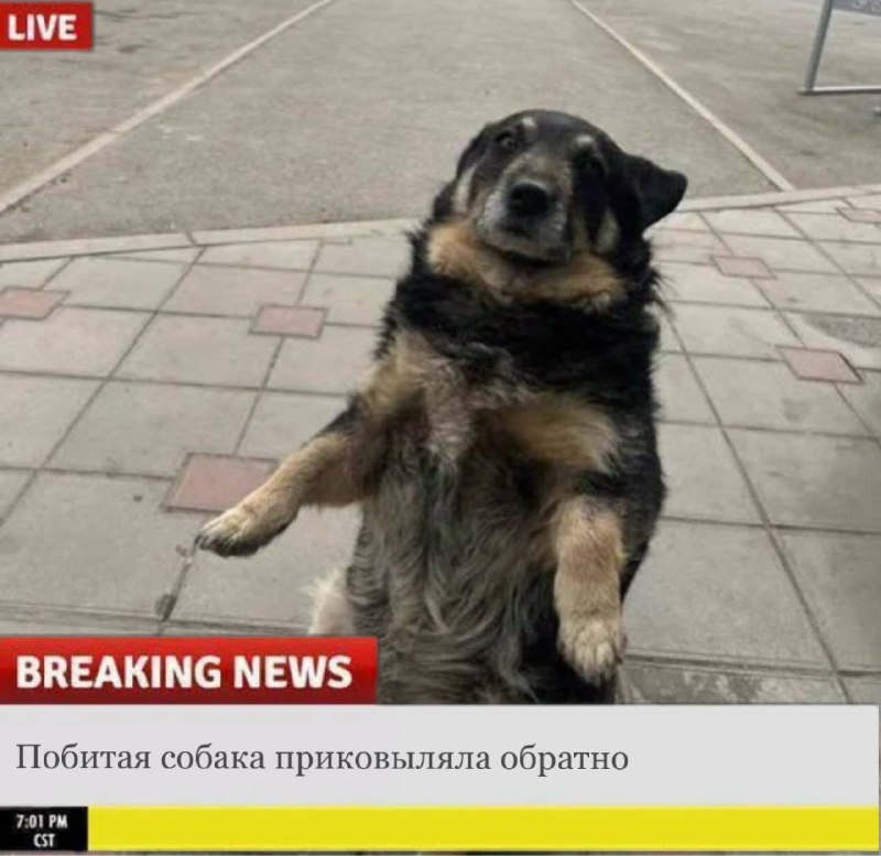 когда с позором возвращаешься в магазин, в котором отказалась покупать, потому что думала, что в дру
