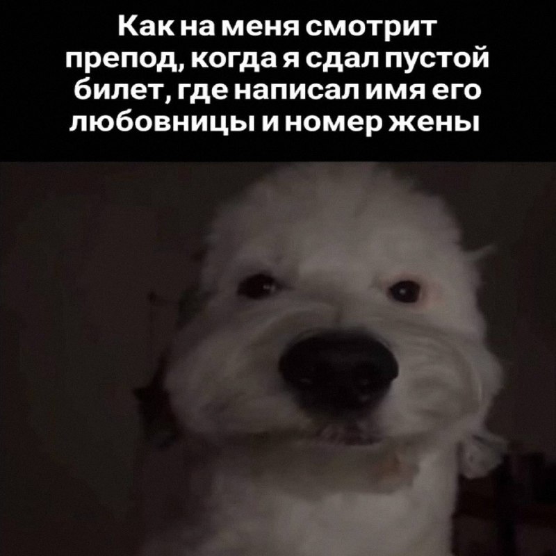 Утренняя подборочка