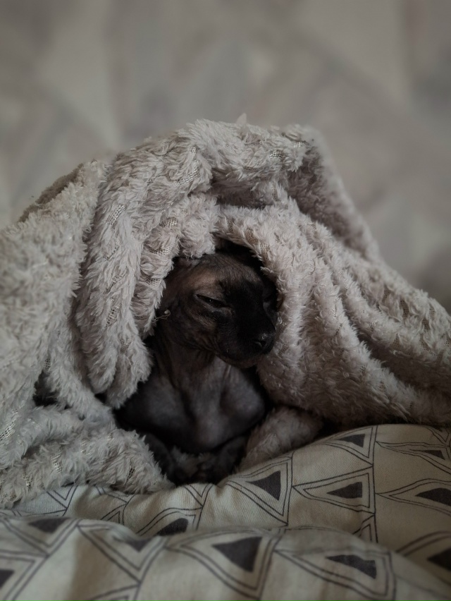 Тысяча и один Бусь🐈‍⬛❤️