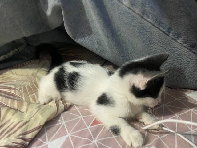 Ну что , поехали !?
Опять или снова , это уже решать вам ,...