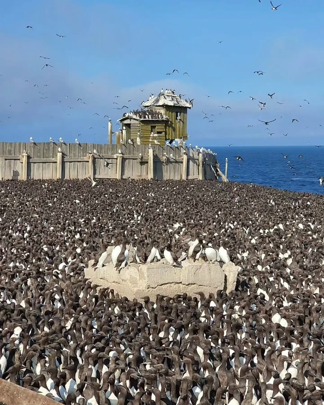 Остров Сахалин 🇷🇺