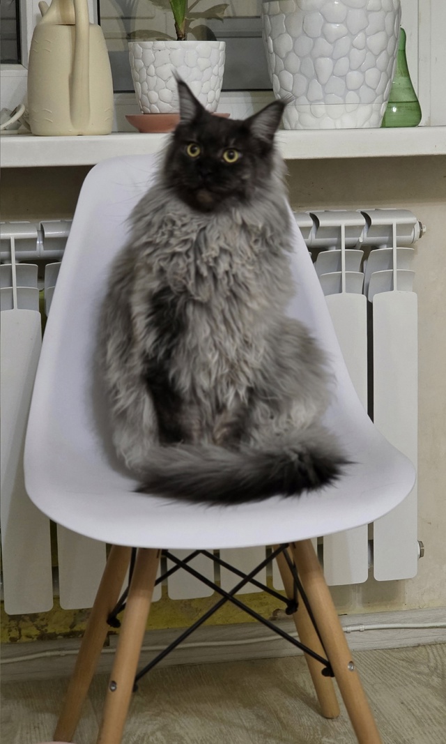 Принцесса 👸...нет королевна 👑 Василиса