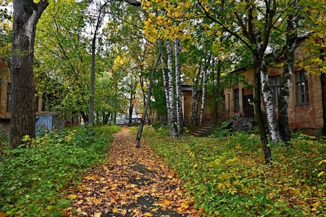 Скоро здесь бyдет сквер…
А пока так красиво всё усыпа?...