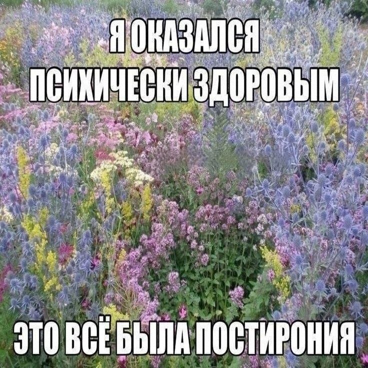 Утренняя подборочка