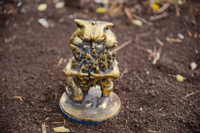 ?В Евпатории появились необычные коты
В историческо?...