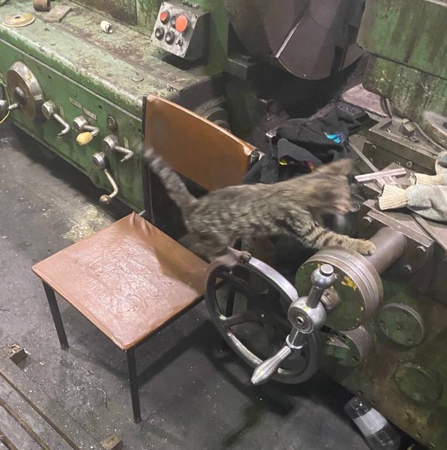 Венечка сегодня ишачит как под дулом ружья - вся жопа в ...