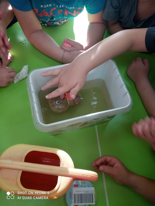 ?Маленькие исследователи: проект «Агрономия» в дейст...