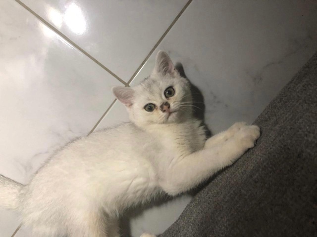 Всем доброго времени суток.
15.10.2025 г. Примерно в 5 утра п...