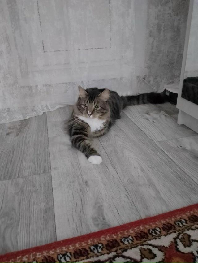 ну и кто дома главный!?