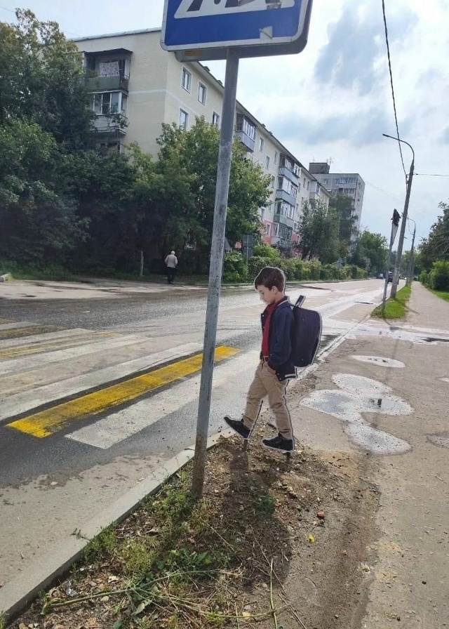 В Московской области начали размещать макеты школьник...