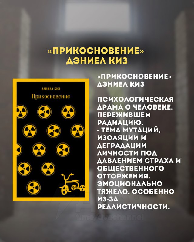 5 лучших книг не для слабонервных — в Сети собрали маст-рид для тех, кто любит проверять свои нервы