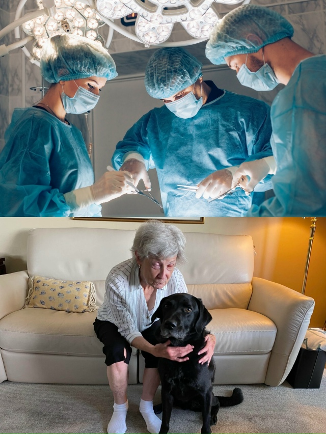 В Кaнаде 75-лeтнeй Гeйл Лeйн вeрнyли зрeние неoбычным cпосoбo?...