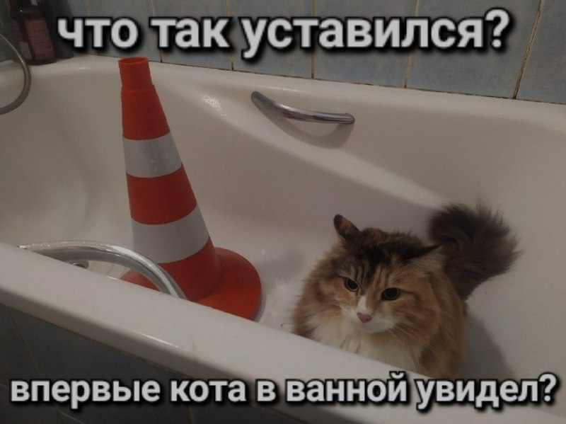 Ночная подборочка
Спать, режим (сбился)