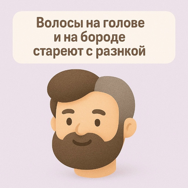 🧔 Волосы тоже живут по своим правилам
Волосы на голов...