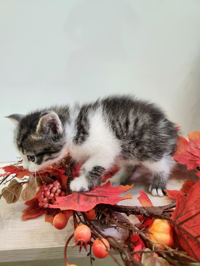 ВОЛГОРЕЧЕНСК ❗
ОСТОРОЖНО и НЕСПЕШНО начинаем искать ...