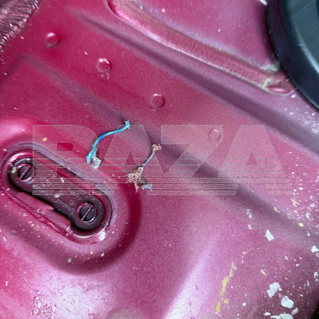 Крысы начали нападать на автомобили россиян после пон?...