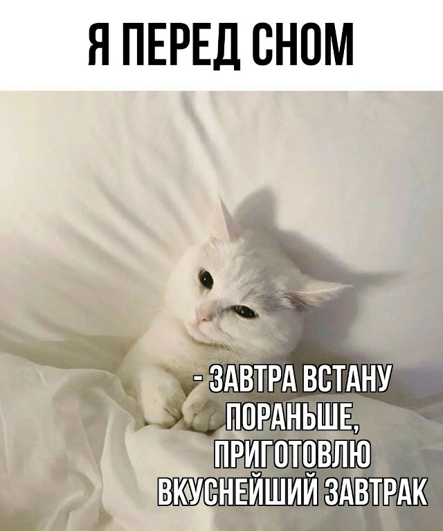 Так и будет?