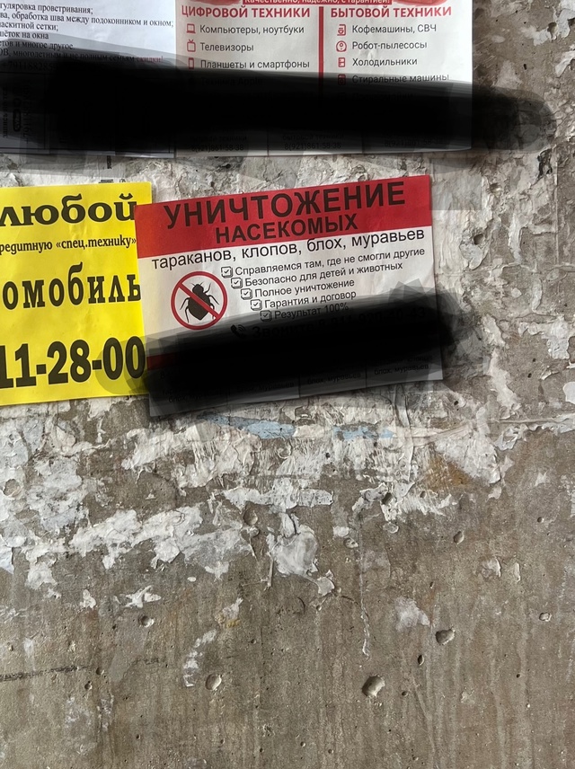 Здравствуйте,за все время своей жизни в доме на Пролет?...