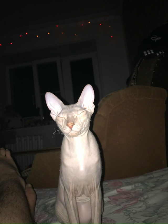 Мотя 2 года )) Холода наступили ((