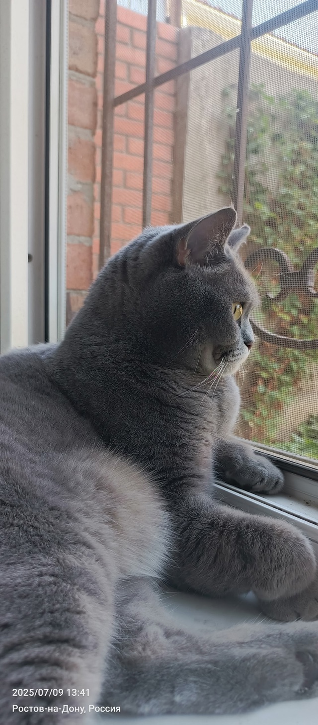 Пупсик🐱