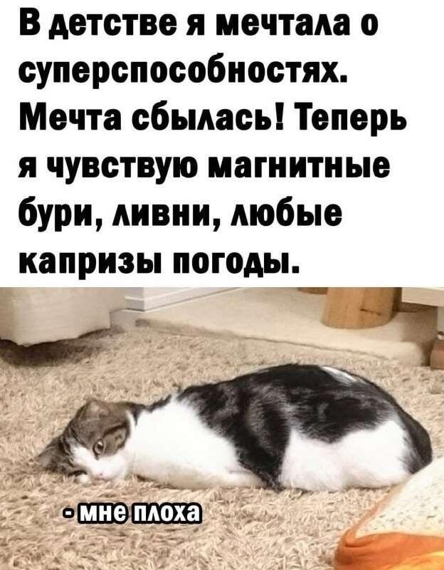 👉 Землю накроет сильнейшая за год магнитная буря — го...