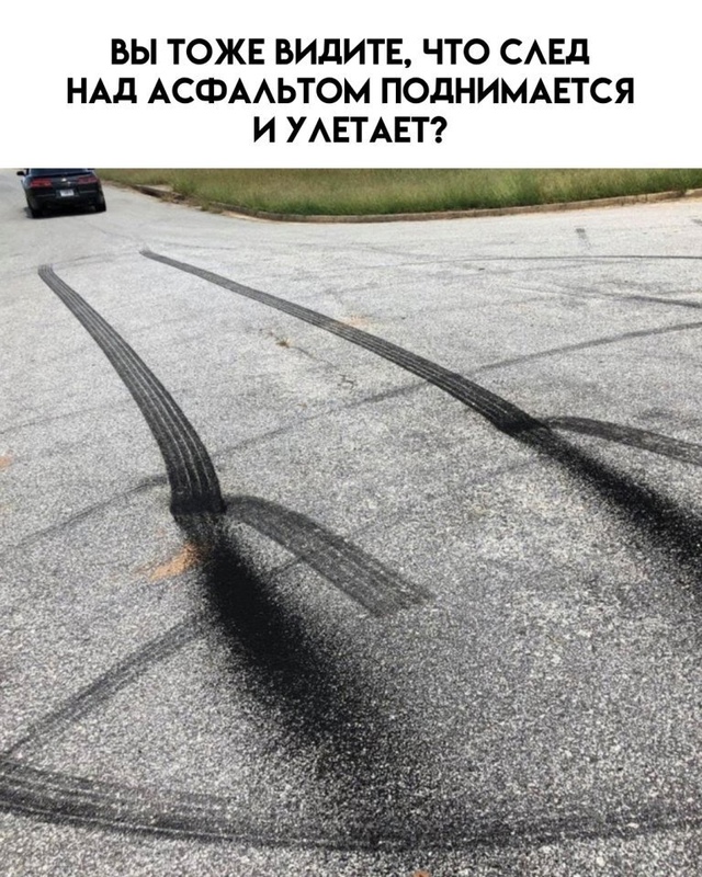 Это зрелище сломало мне зрение… и немного психику 😅