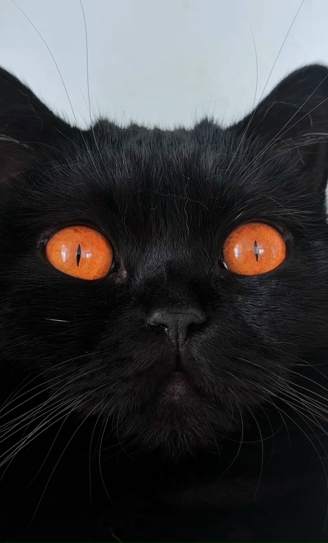 Оххх эти глаза😍