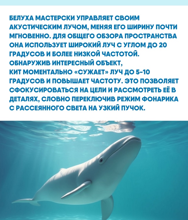 Под толщей воды, где видимость часто стремится к нулю, ?...