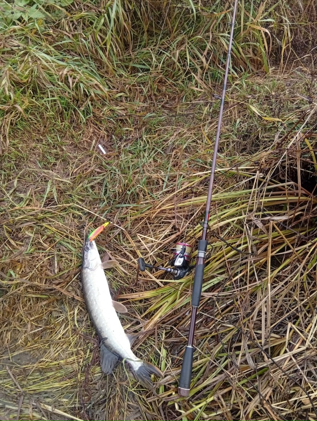 Кто рано встает в Можайске, того радует улов 🎣