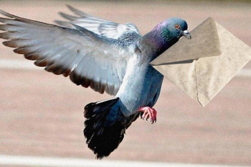 Россияне массово пересели на электронную почту из-за проблем с Telegram и связью.
Только за первую