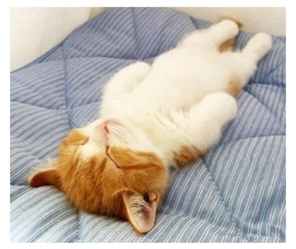 ‼ Долгий сон гораздо ОПАСНЕЕ недосыпа, — результаты и...